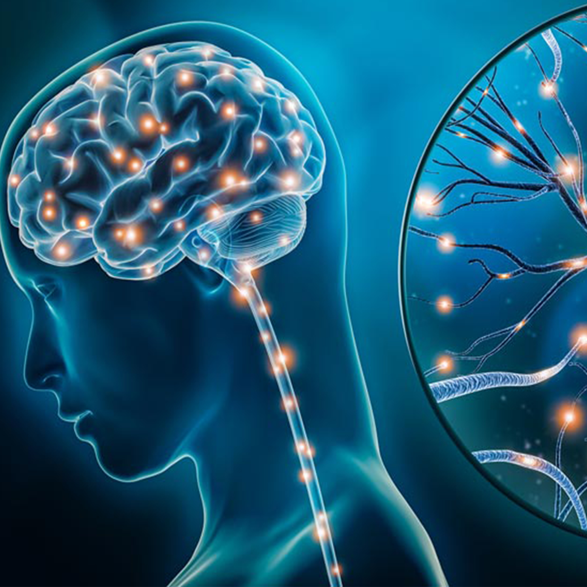 neurop´rotector